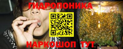 шишки Кулебаки