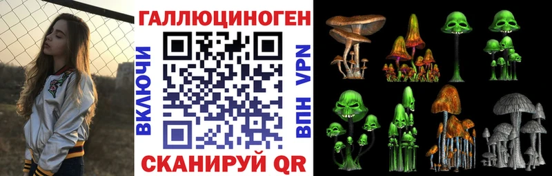 Псилоцибиновые грибы мицелий  hydra как зайти  Карачаевск  закладка 