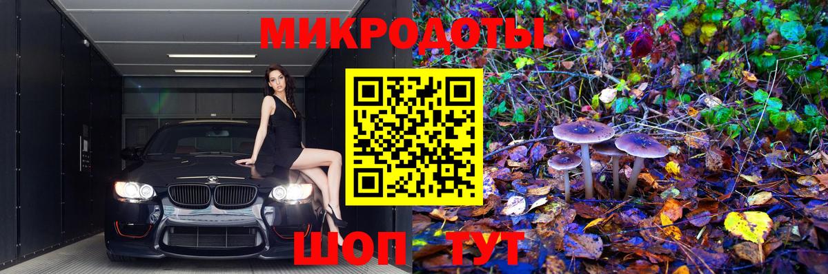 Псилоцибиновые грибы мухоморы  Вход с VPN  Псилоцибиновые грибы Magic Shrooms  купить наркотик  Карачаевск 